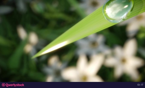 Water drop on the green grass. HD close-up. 3d render. Animation.