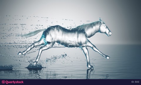 Water horse gallops through the water with splashes, slow motion